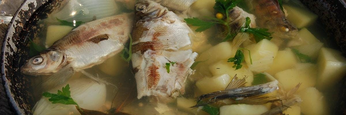 Fish and Potato Stew recipe