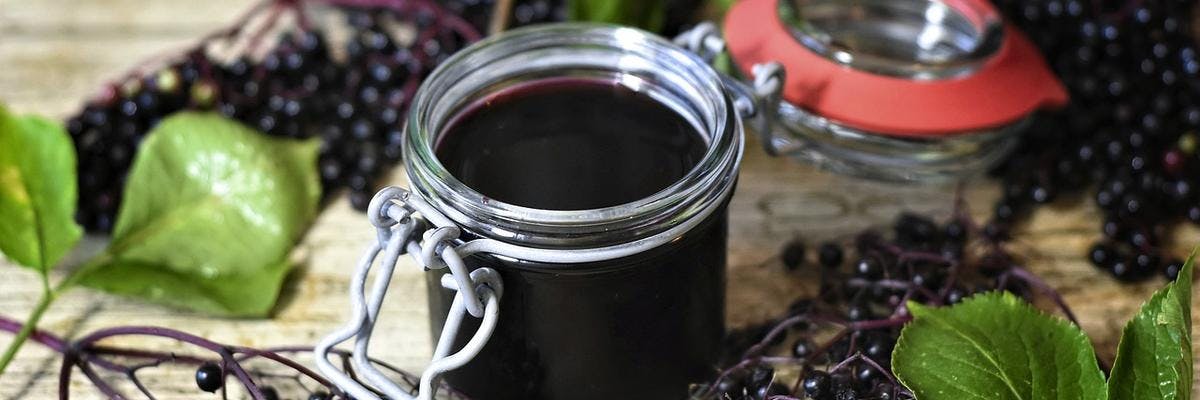 Elderberry Preserve recipe