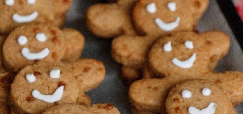 Gingerbread Biscuits recipe