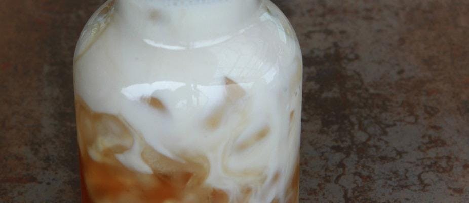 Coconut Milk Cold Brew Coffee recipe