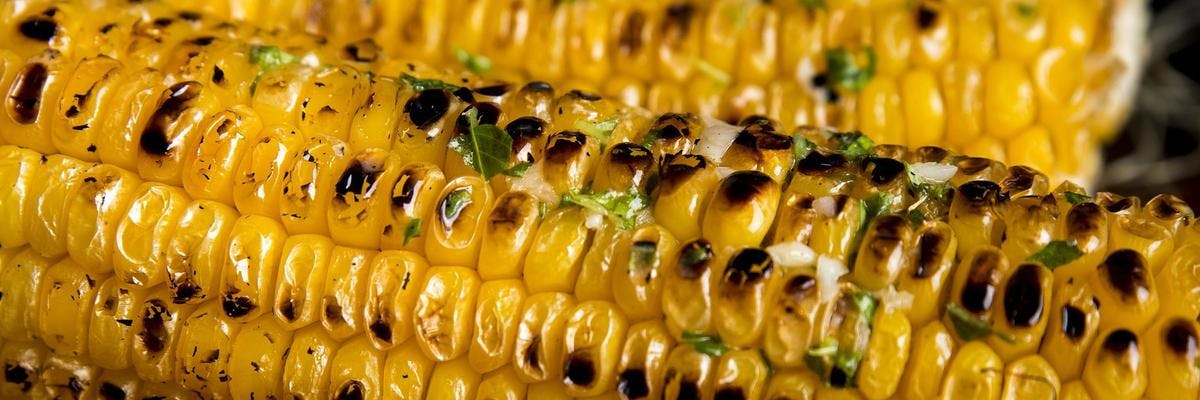 Char-Grilled Corn on the Cob with Garlic & Basil recipe