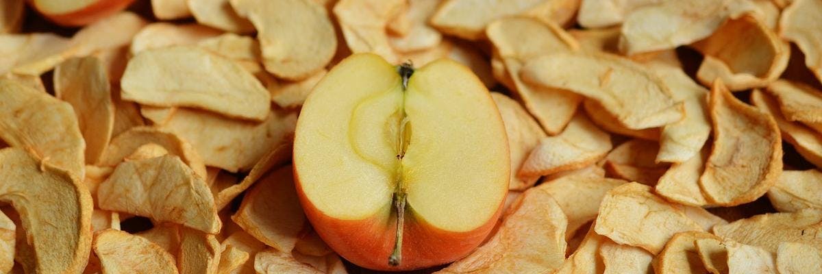 Oven-Dried Apple Slices recipe