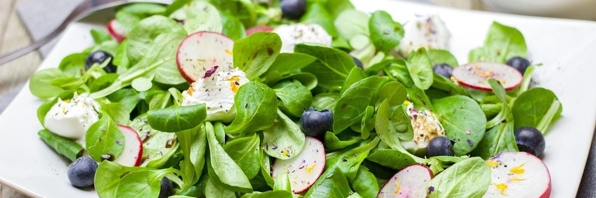 Spinach Salad with Creamy Goats Cheese, Sliced Radish & Blueberries recipe