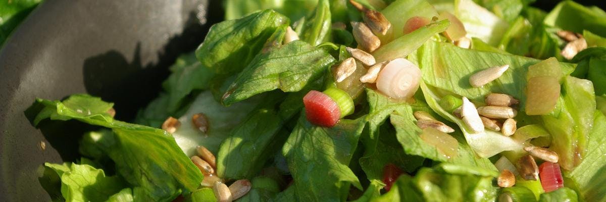 Crisp Lettuce Salad with Sunflower Seeds & Pickled Rhubarb recipe