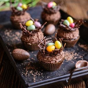 Double Chocolate Cupcakes with Chocolate Nest Toppings