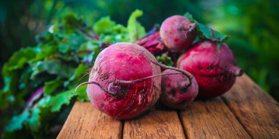 Beetroot Wonders: Vibrant Recipes to Brighten Your Meals
