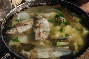 Fish and Potato Stew