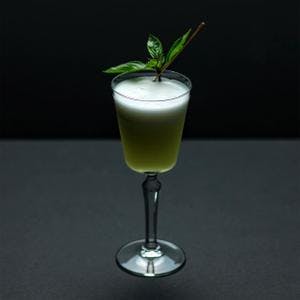 Basil & Gin Cocktail