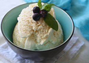 Creamy Vegan Coconut Milk Ice-Cream